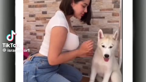 Dog lovers