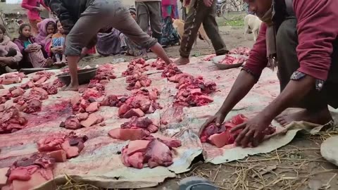 Nepali Village Life_150 kg Pork Cutting and Cooking_Pig Cutting_Fishing Man