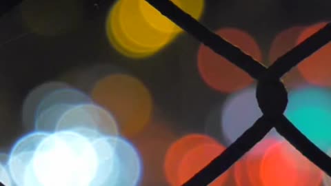 City Lights at Night