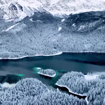 "Silent Snowy Sanctuary" or "A Winter Wonderland"