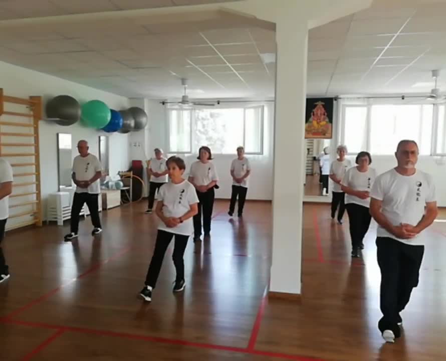 TAIJI QUAN o TAI CHI ..... che cos'è?