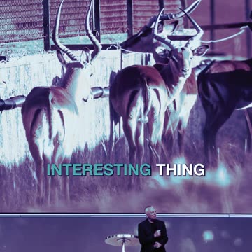 You Need Vision | Impala Facts | Motivation