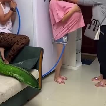 Try Not To Laugh Funny Video 2 #Shorts