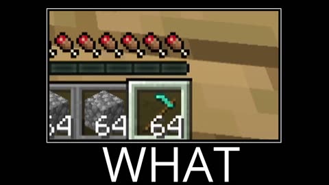 WAIT WHAT (Minecraft) Episodes 1-10