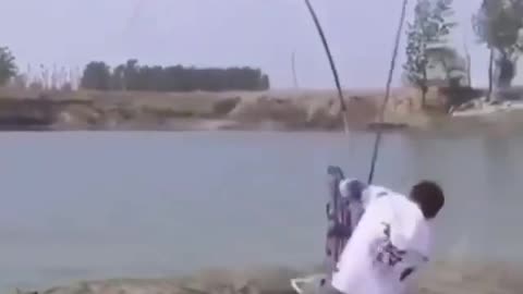 This is a beautiful and charming water-dwelling species