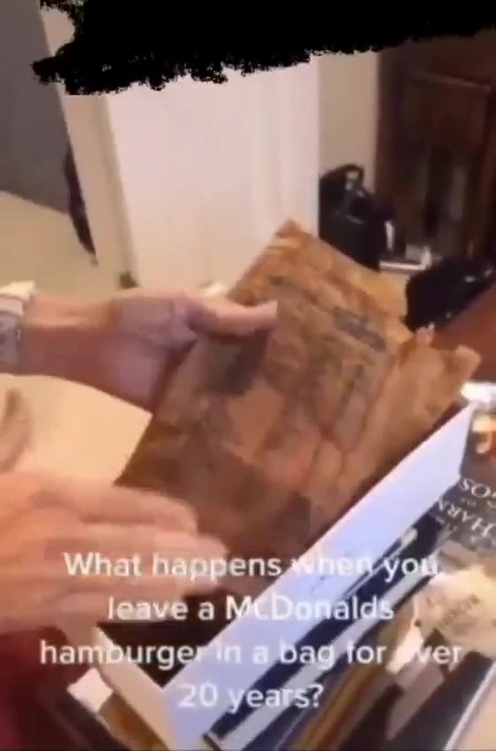 헴버거는 20년이 지나도 안 썩음? 왜? 기름 때문에?.avi