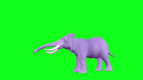 Cartoon elephant green screen video