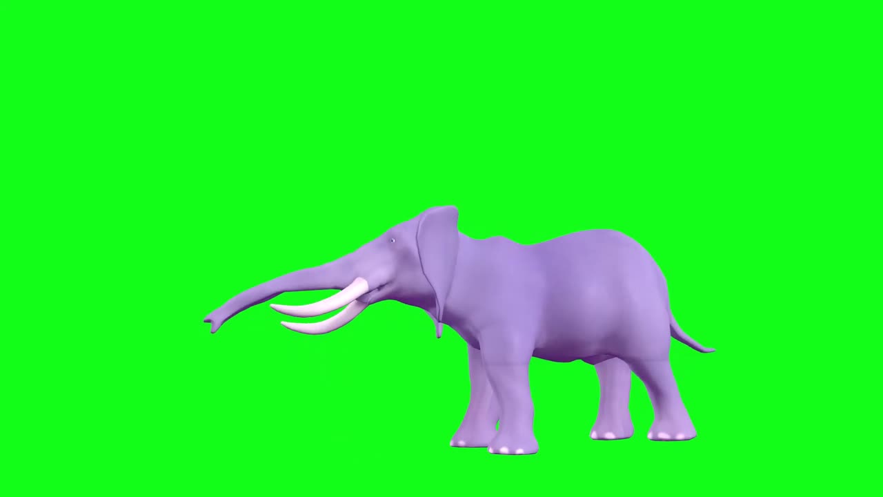 Cartoon elephant green screen video