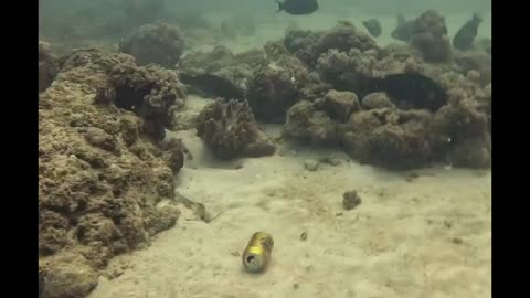 Bit of rubbish removal from the ocean