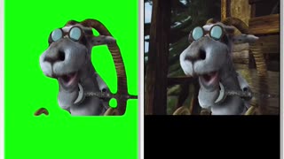 Hoodwinked Goat “Did I, Did I” Green Screen vs Original