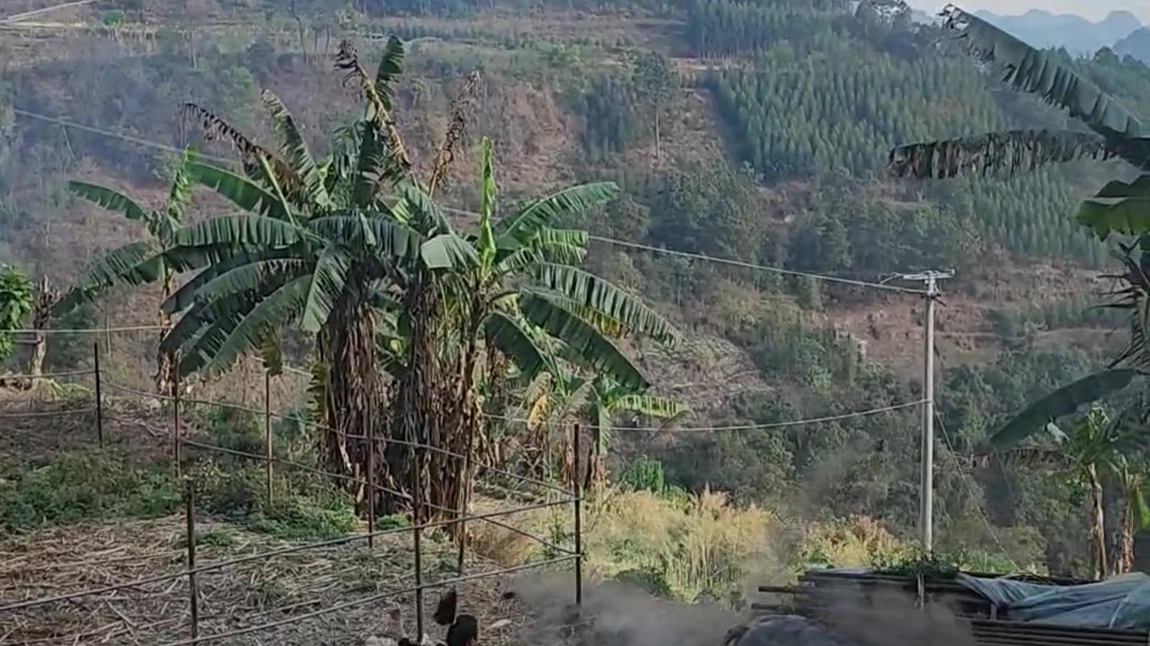 #funny,#funnyvideos
