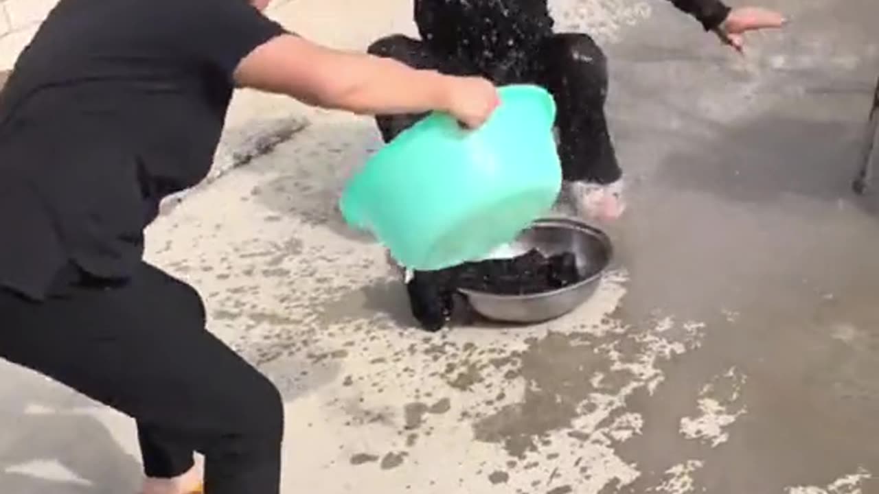 Funny videos