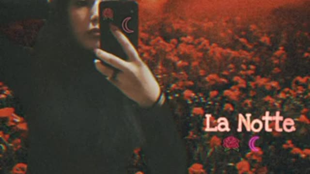 Chiara Ciccotto Arisa la notte