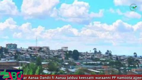 Oduu Waaree ONM-ABO Onkoloolessa 4, 2023