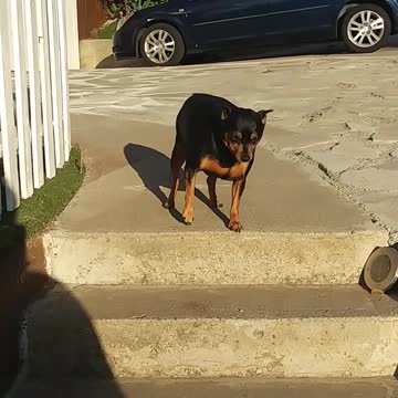 ( Try Not To Laugh )