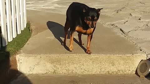 ( Try Not To Laugh )