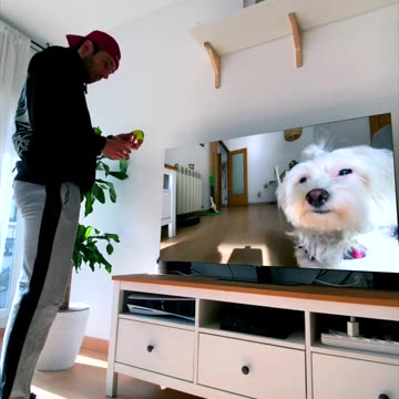 ¿ME TIRAS LA PELOTA MISTERIOSA? 😮