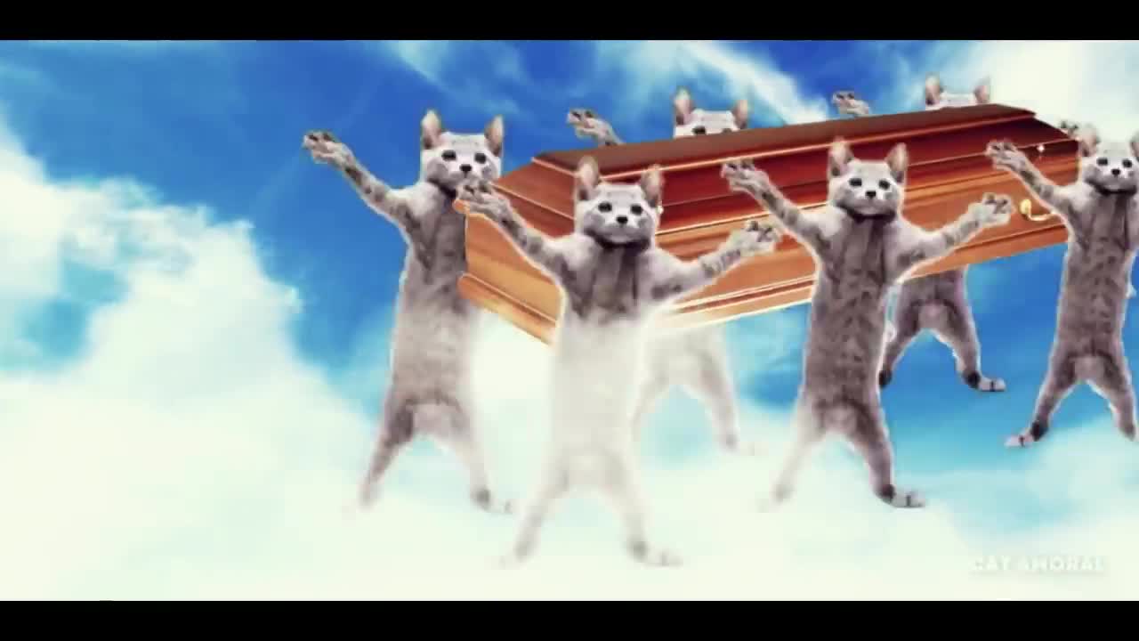 Astronomia - Coffin Dance Meme - Cats Cover