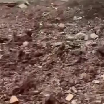 Battle of Bakhmut from the perspective of a young Ukrainian soldier.