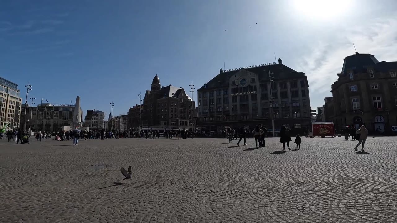 Amsterdam Netherlands Travel Guide 4K