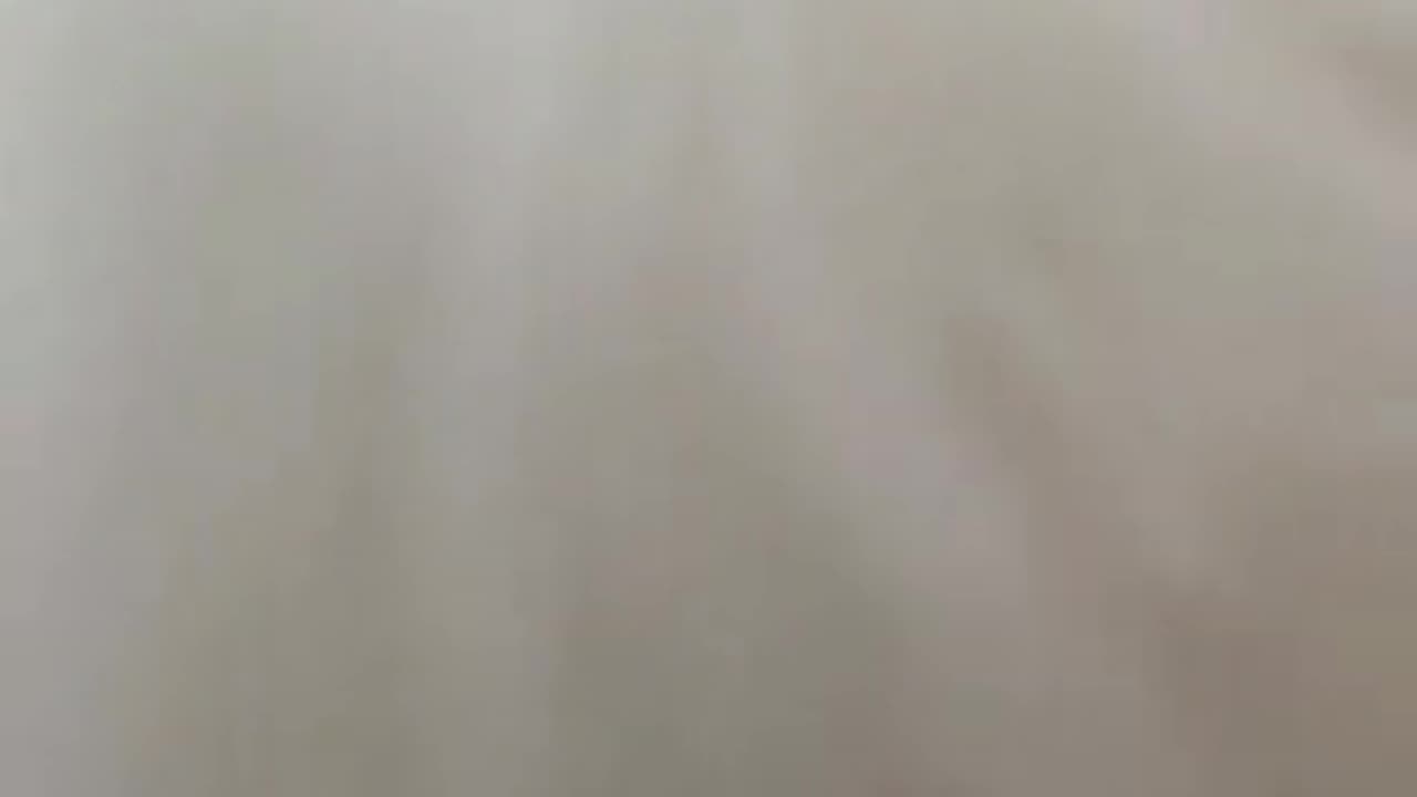 CUTE CAT