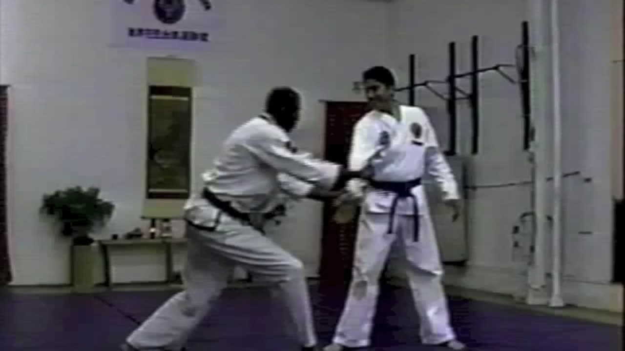 World Pro Hapkido Federation