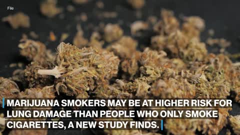 Marijuana smokers could be at more risk for emphysema than cigarette smokers_ Study