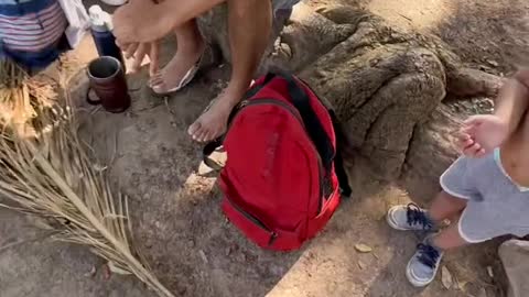 Ahora le tocó a los más chic