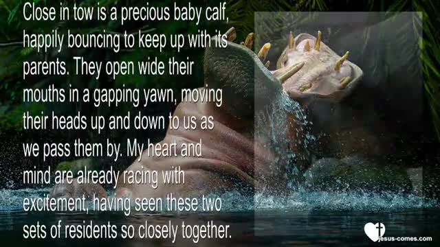 The Palace in Heaven... Ezekiel's Experience with Jesus ❤️ Chronicles of the Bride