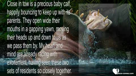 The Palace in Heaven... Ezekiel's Experience with Jesus ❤️ Chronicles of the Bride