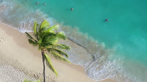 Sea waves kissing the beach shore