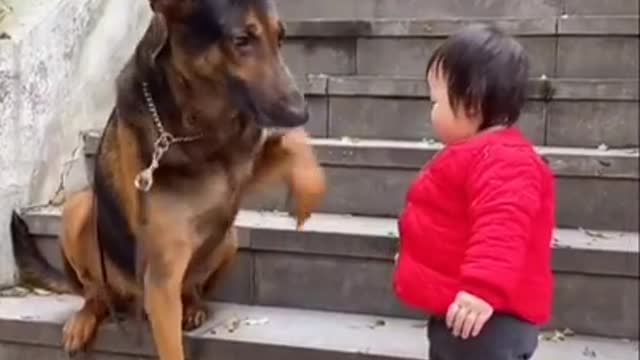 dog consoles kid whose mom is missing