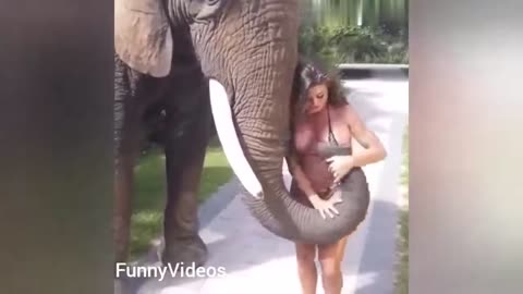 Hot girls vs Animals-Funny Animals vs Humans video Compilation2021