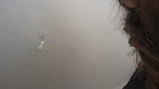 2023-05-10 (1) - rat pide - Twitch Triskelina