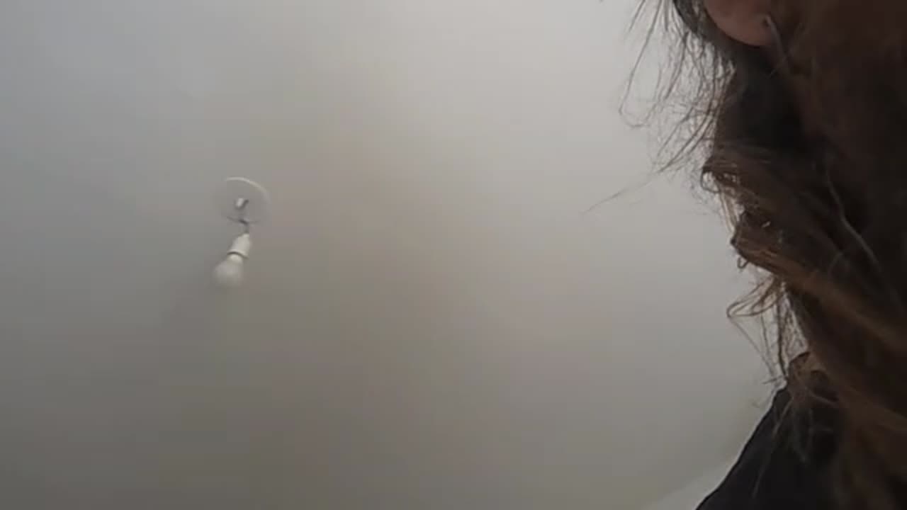 2023-05-10 (1) - rat pide - Twitch Triskelina