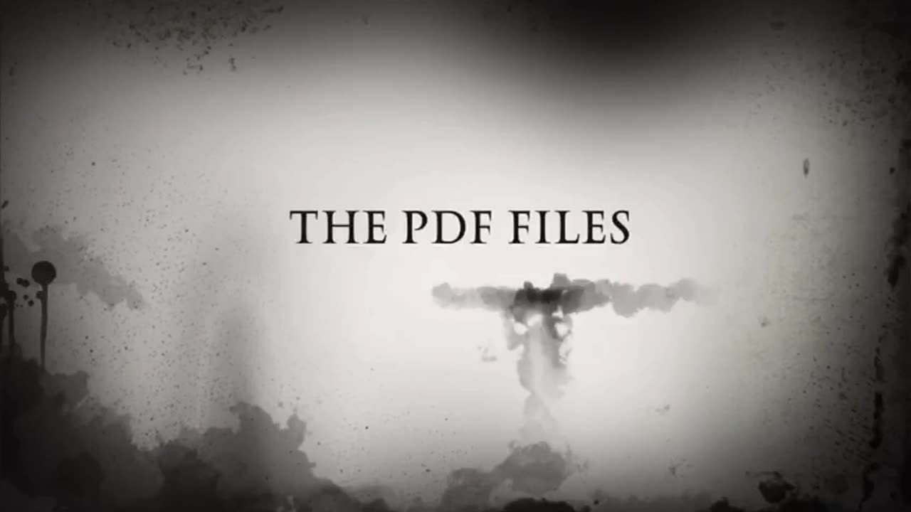 The PDF FILE FILE