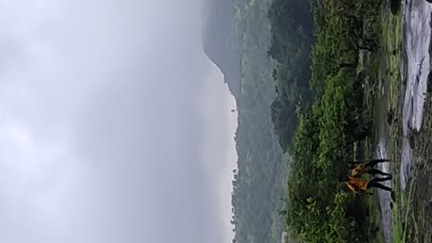 Lonavla