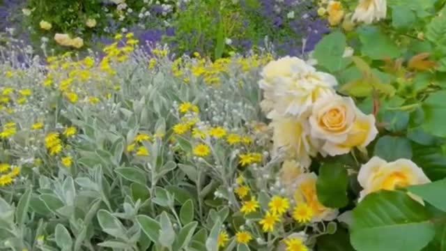 Garden therapy