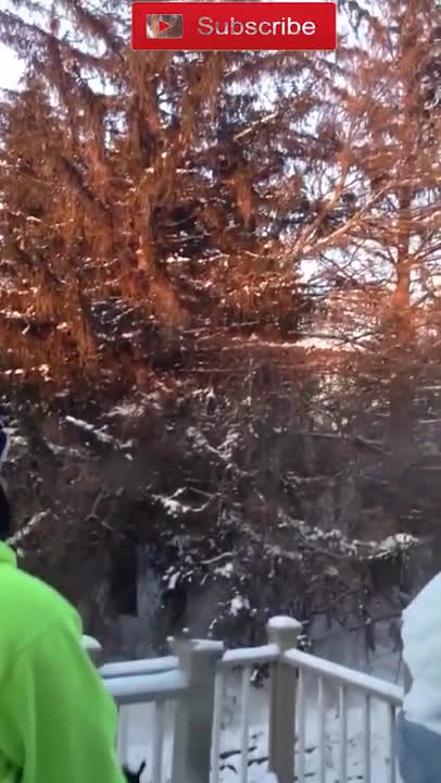 amazing funny Video Clips #shorts (194)