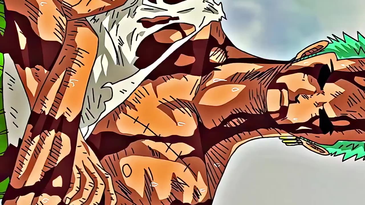 Loyalty of zoro