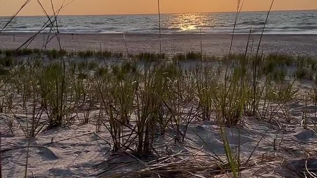 Sunrise down the shore... Listen to the wind and waves to relax, sleep, meditate