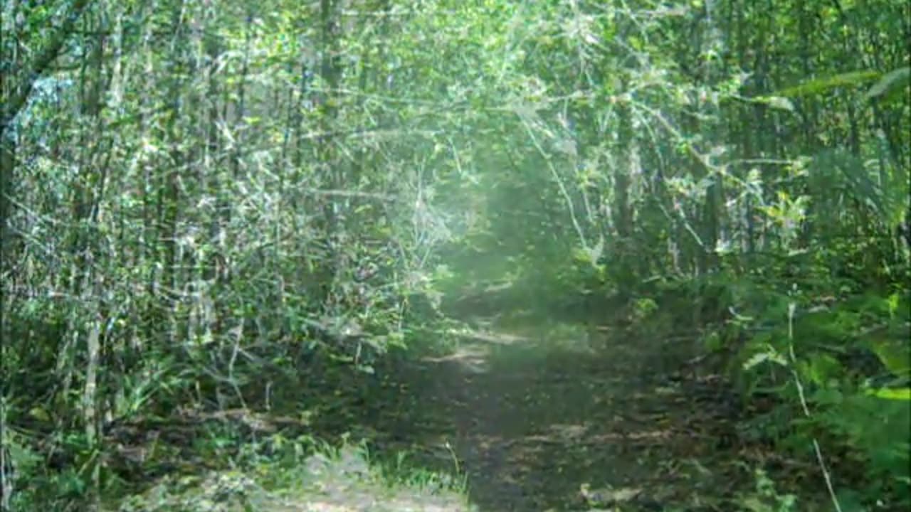 Kakolanmäki 17.7-13
