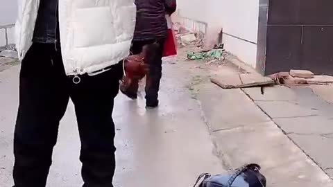 Chinese Funny Video try not to laugh #short