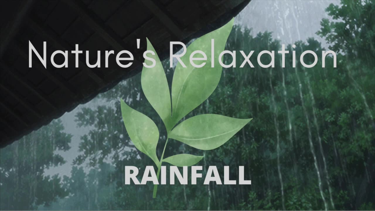 Heavy Rainfall w/ Car Puddle Splashing White Noise- [Sleep, Relaxation, and Concentration]