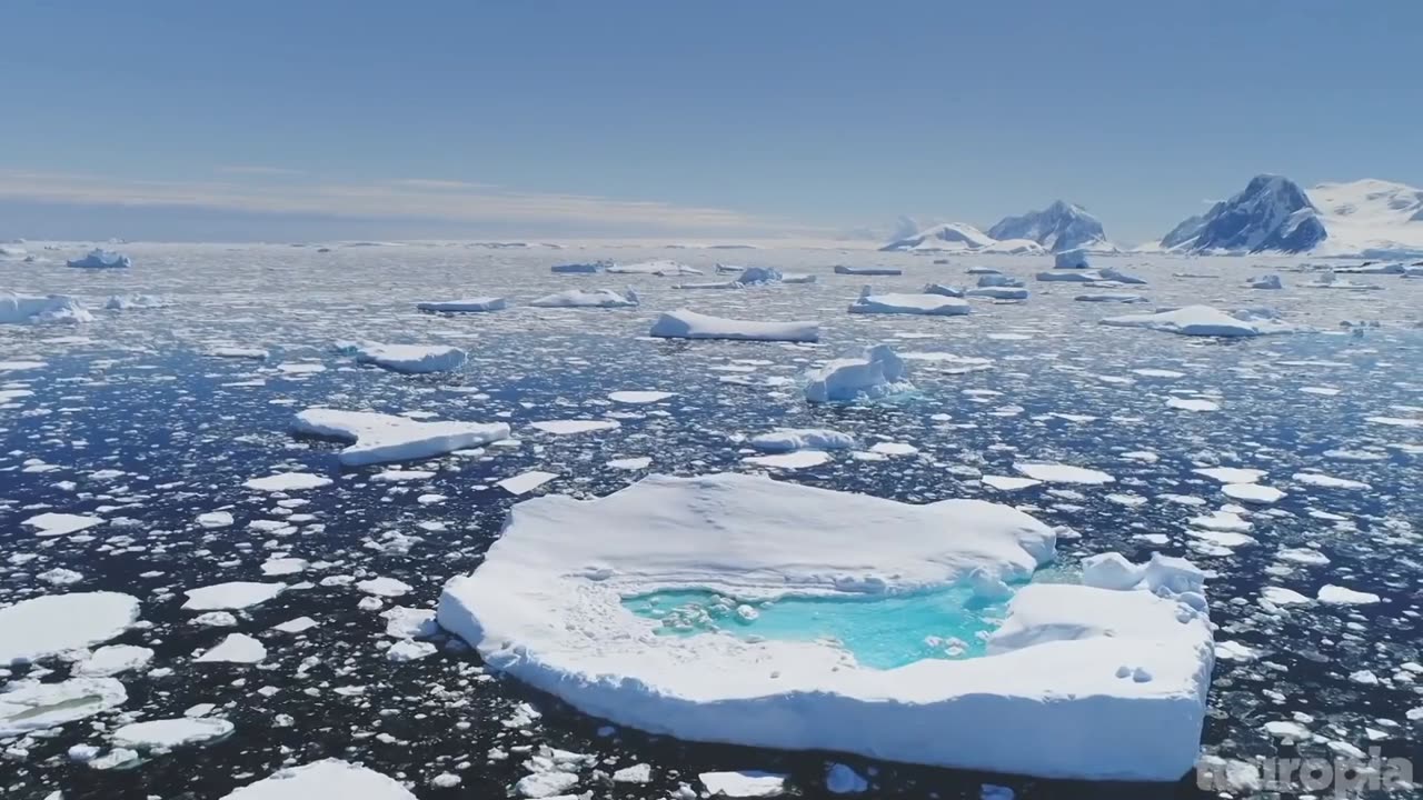 Nature Venture: Discovering Earth's Beauty" (part 7)