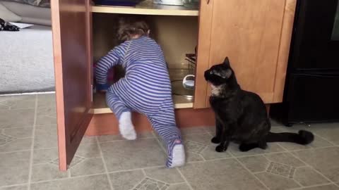 6 Mischevious Cats Who Are Up To No Good