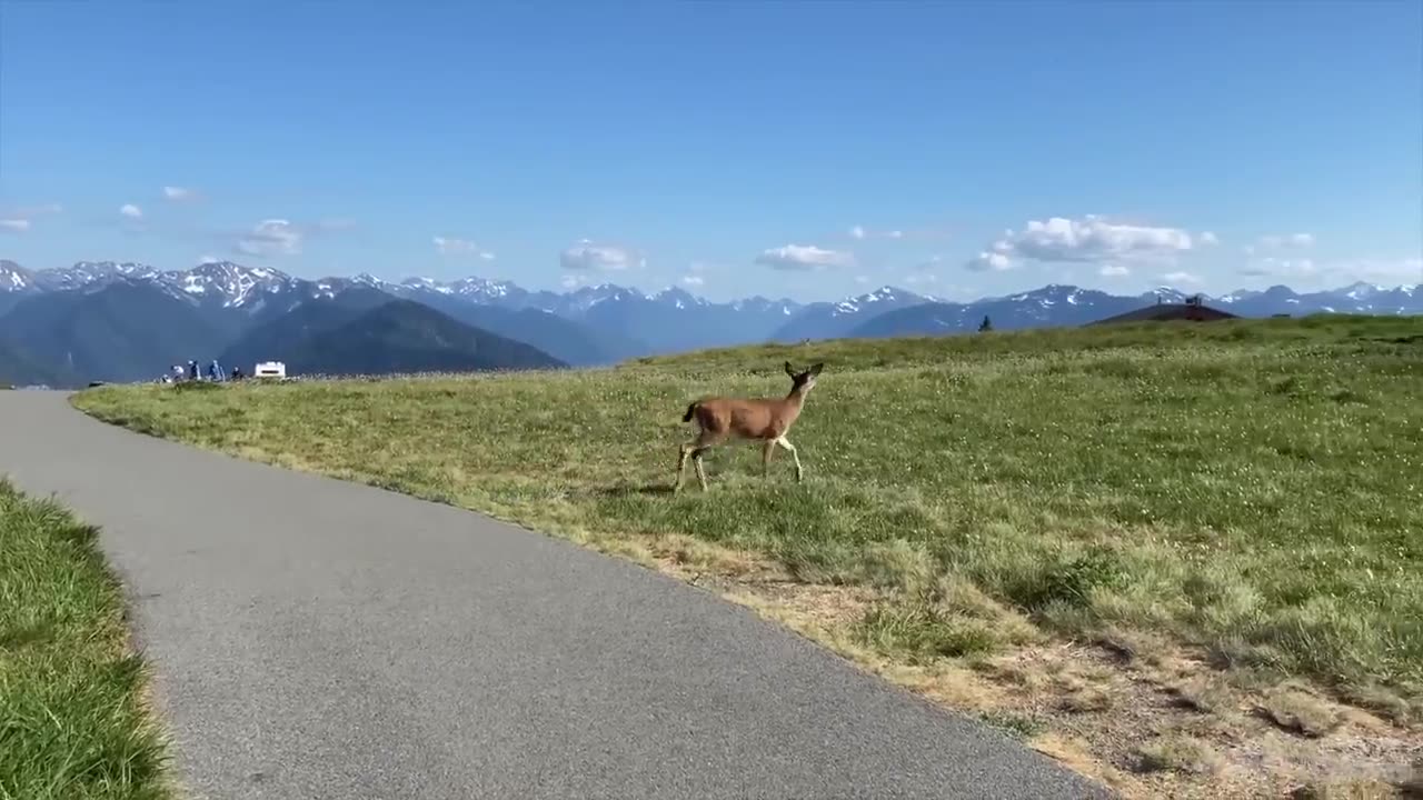 10 Best Places to Visit in Washington State - Travel Video