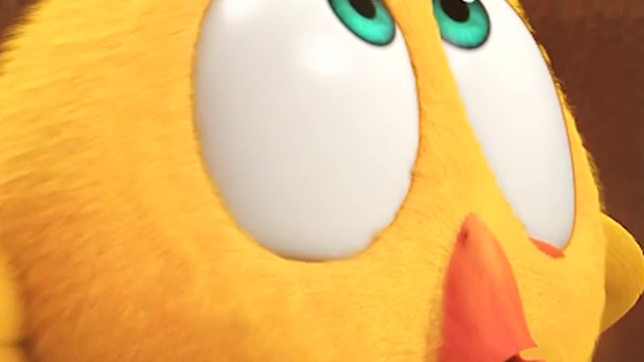 #SHORTS CHICKY