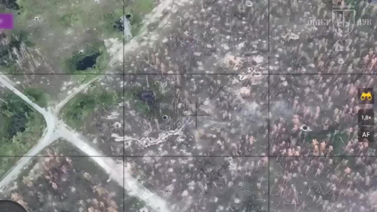 💥 Ukraine Russia War | 67th OMBr DUK Hits Russian Infantry with Artillery in Kremen Forests | RCF