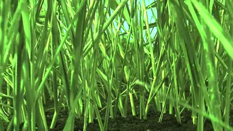4K VIDEO 30 SECONDS BEAUTY OF WORLD 720P HD